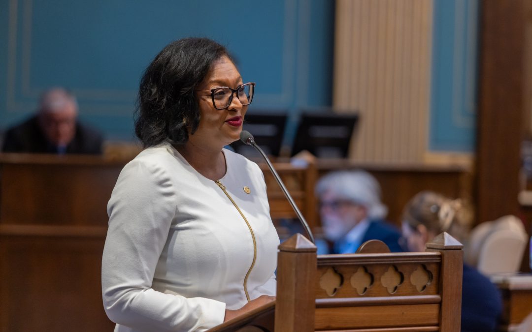 ✅ Senate Dems Pass 2027 State Budget Recommendations!