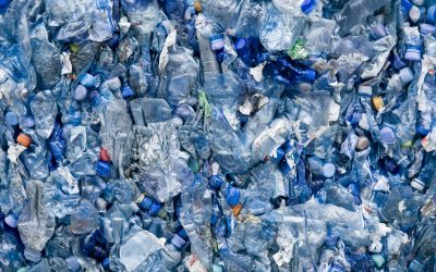 Sen. Bayer Introduces Amendment to Michigan Recycling Code to Improve Environmental Health  
