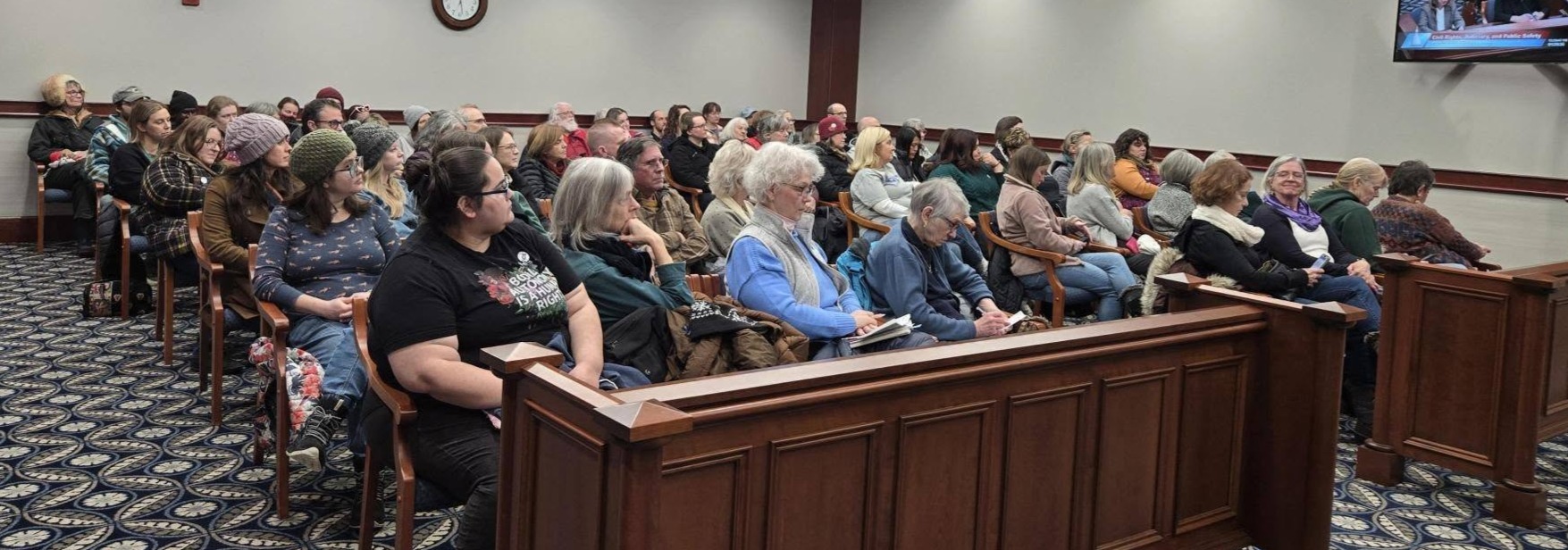 On Jan. 29th, Michiganders filled three rooms to listen to testimony in the Senate Committee on Civil Rights, Judiciary, and Public Safety on legislation to restrict the reckless tactics used by ICE and DHS officers.