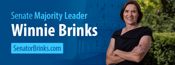 Senator Brinks Email Banner