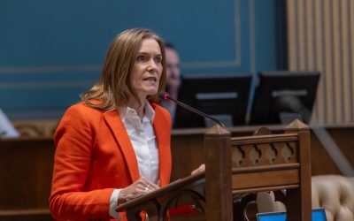 Michigan Senate Democrats Secure $71M in Urgent, Bipartisan Relief on Food Access, Soften Blow of Federal Inaction