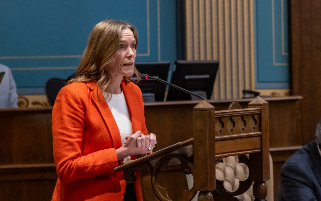 Cutting Costs & Calming the Chaos: Senate Dems Pass 2027 State Budget to Deliver Relief for Michiganders