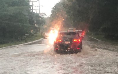 Sen. Camilleri on Flooding Across Downriver and Western Wayne 