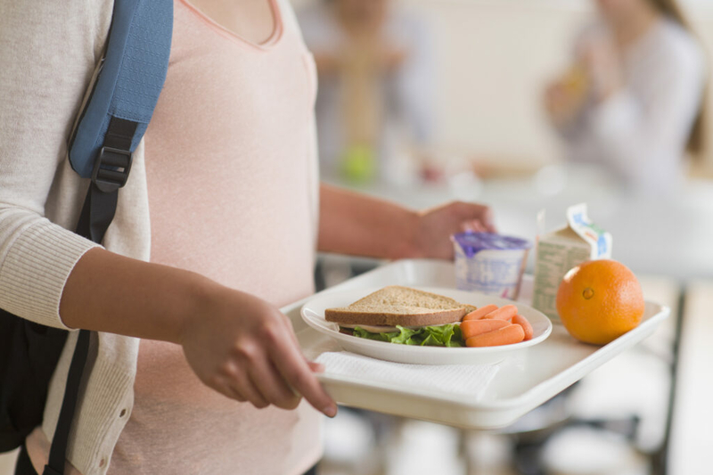 Michigan Advance:  The next budget gives kids free school lunches for a year. This bill could make it permanent.