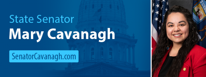 Senator Mary Cavanagh email banner