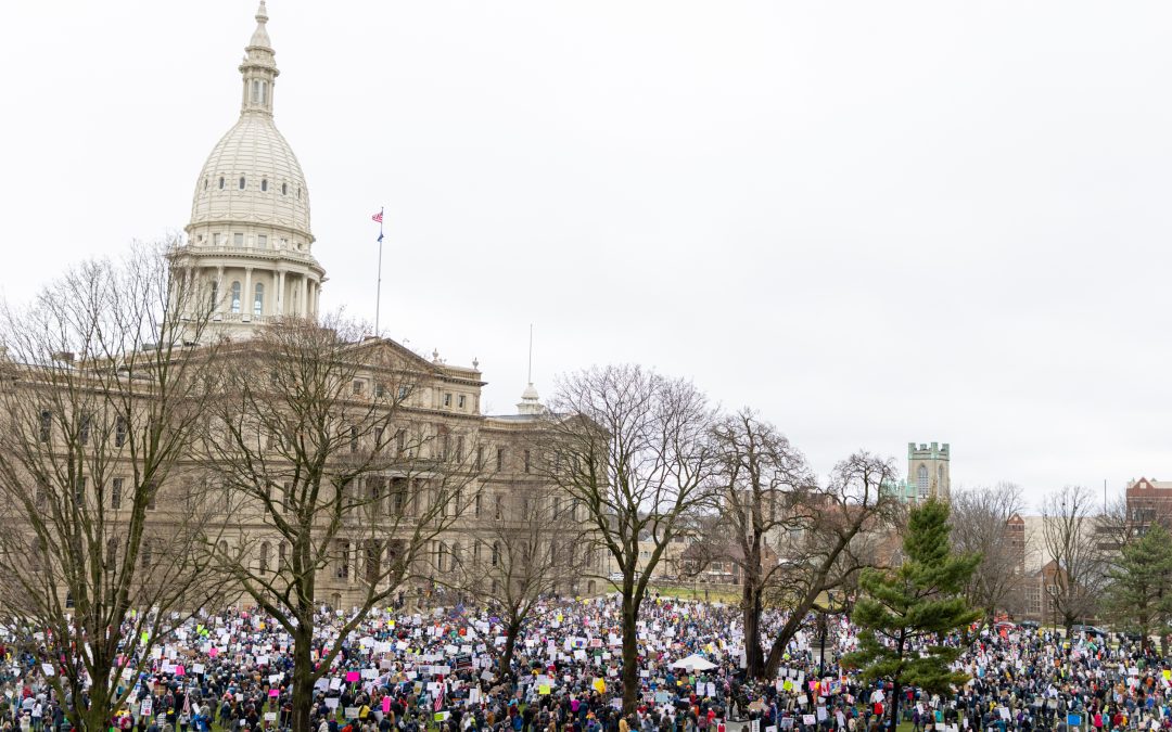 Michigan Senate Passes Cavanagh Resolution Recognizing Grassroots Week from June 23-29