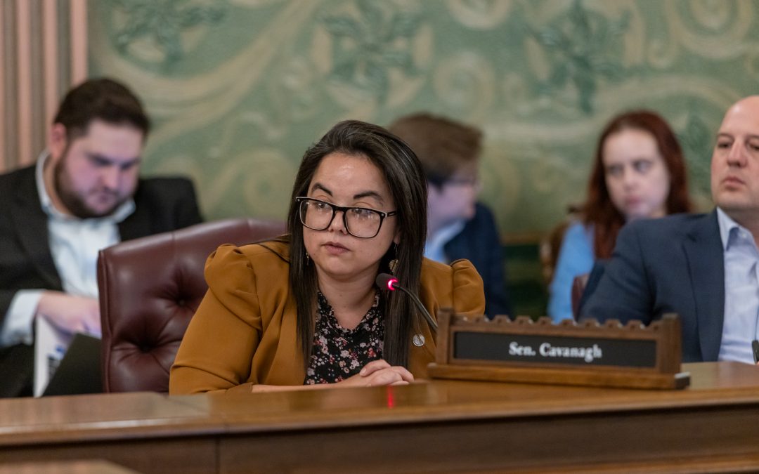 Michigan Senate Passes Chair Cavanagh’s 2027 Budget for Dept. of Labor and Economic Opportunity