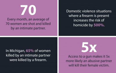 Michigan Legislature Takes Bipartisan Steps to Protect Survivors of Domestic Violence from Further Abuse  