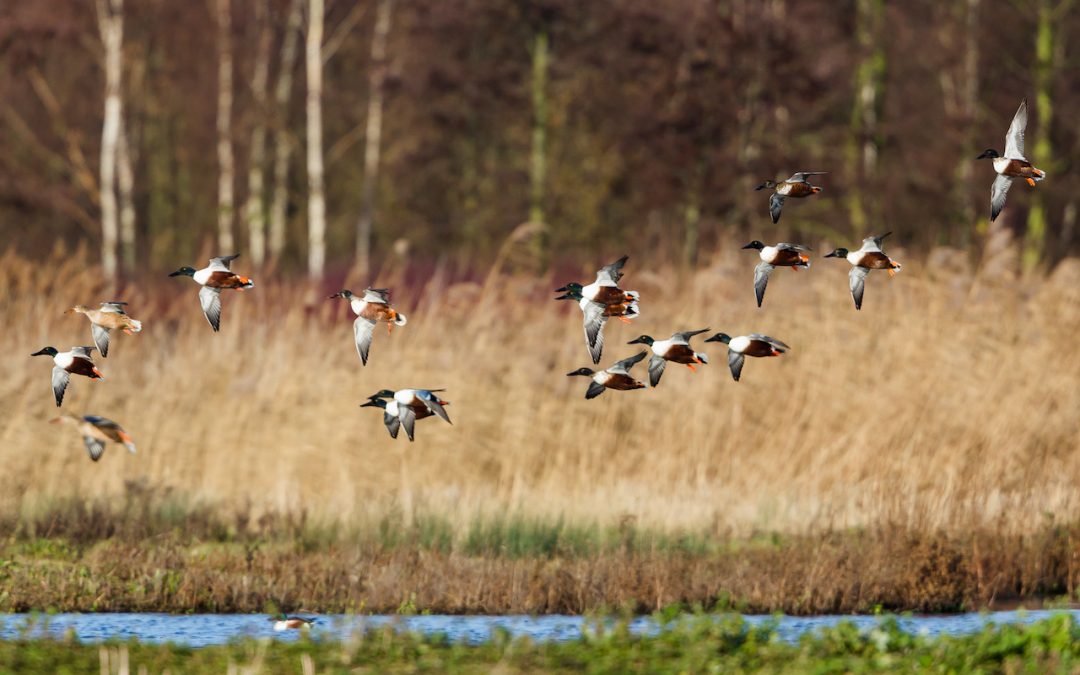 Tackling Hunger in Michigan & Resources for Hunters 