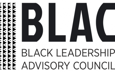 Michigan Senate Passes Senate Bill 840, Codifying the Black Leadership Advisory Council