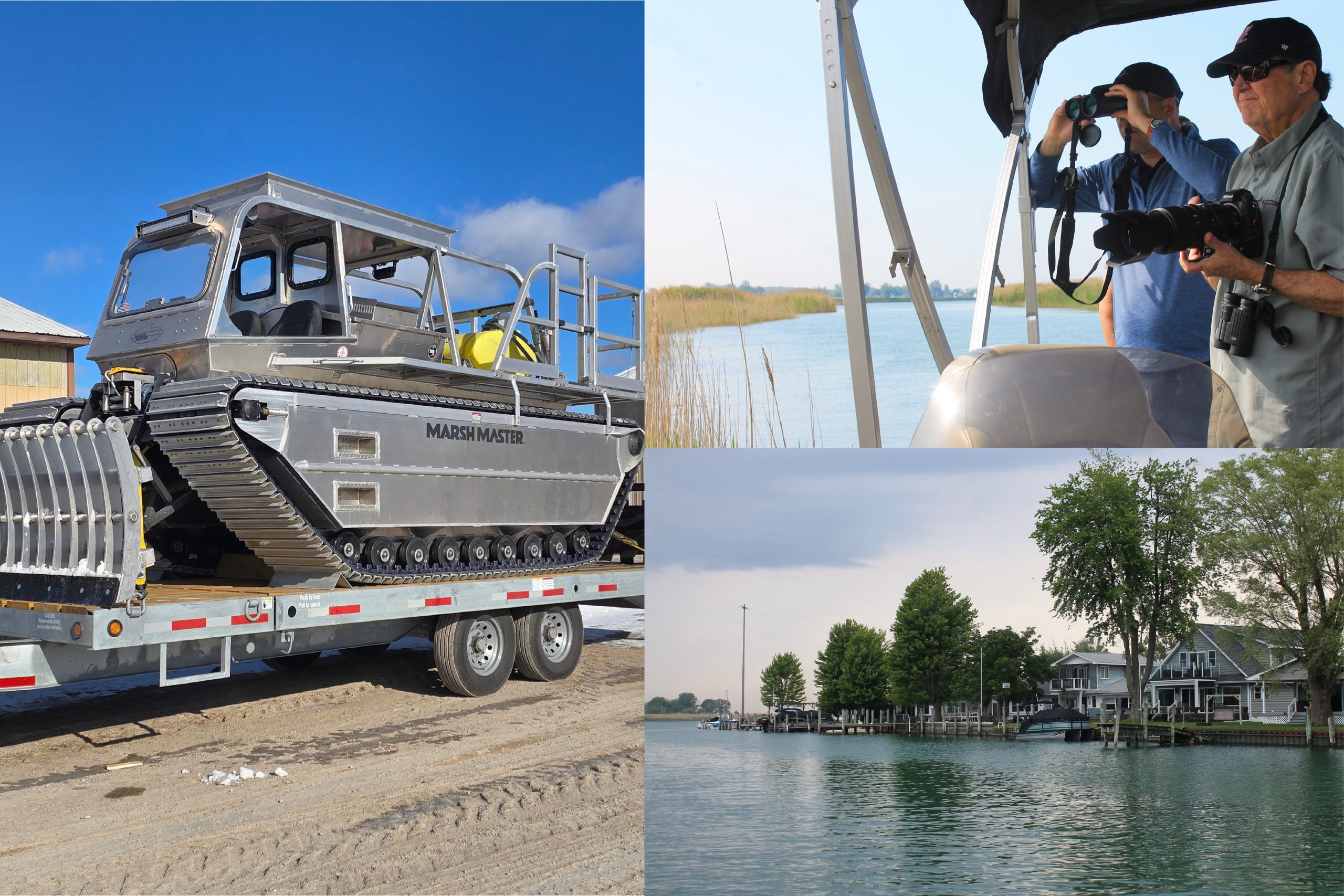 For years, phragmites have taken over wetlands in Clay Township and on Harsens Island, destroying wildlife habitats and creating an eyesore for residents and visitors alike. 