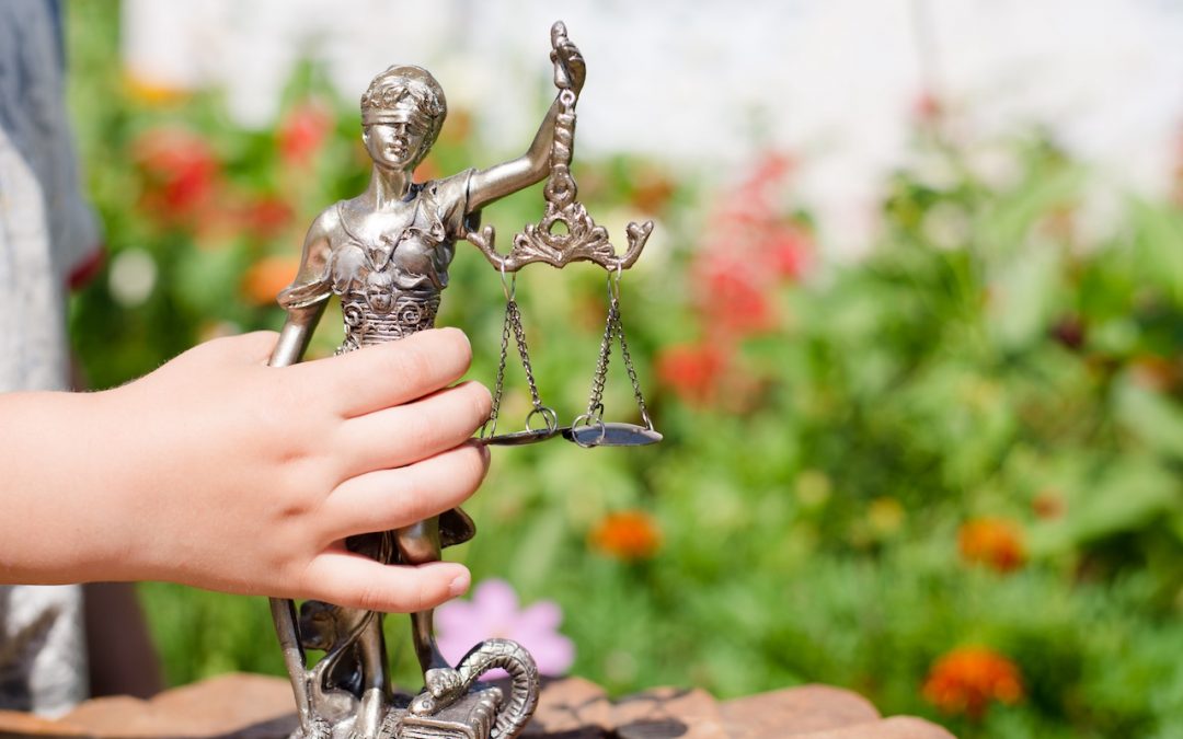 Senate Democrats Continue Fight to Hold Sexual Abusers Accountable, Provide Justice for Survivors