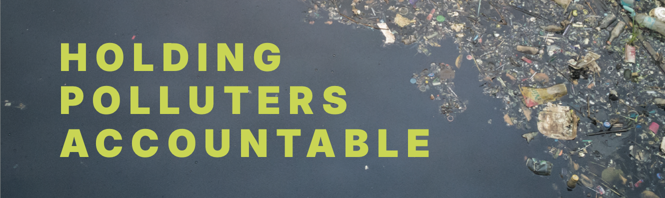 Holding Polluters Accountable