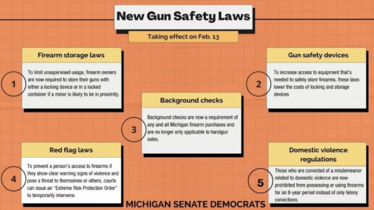 New Gun Safety Laws