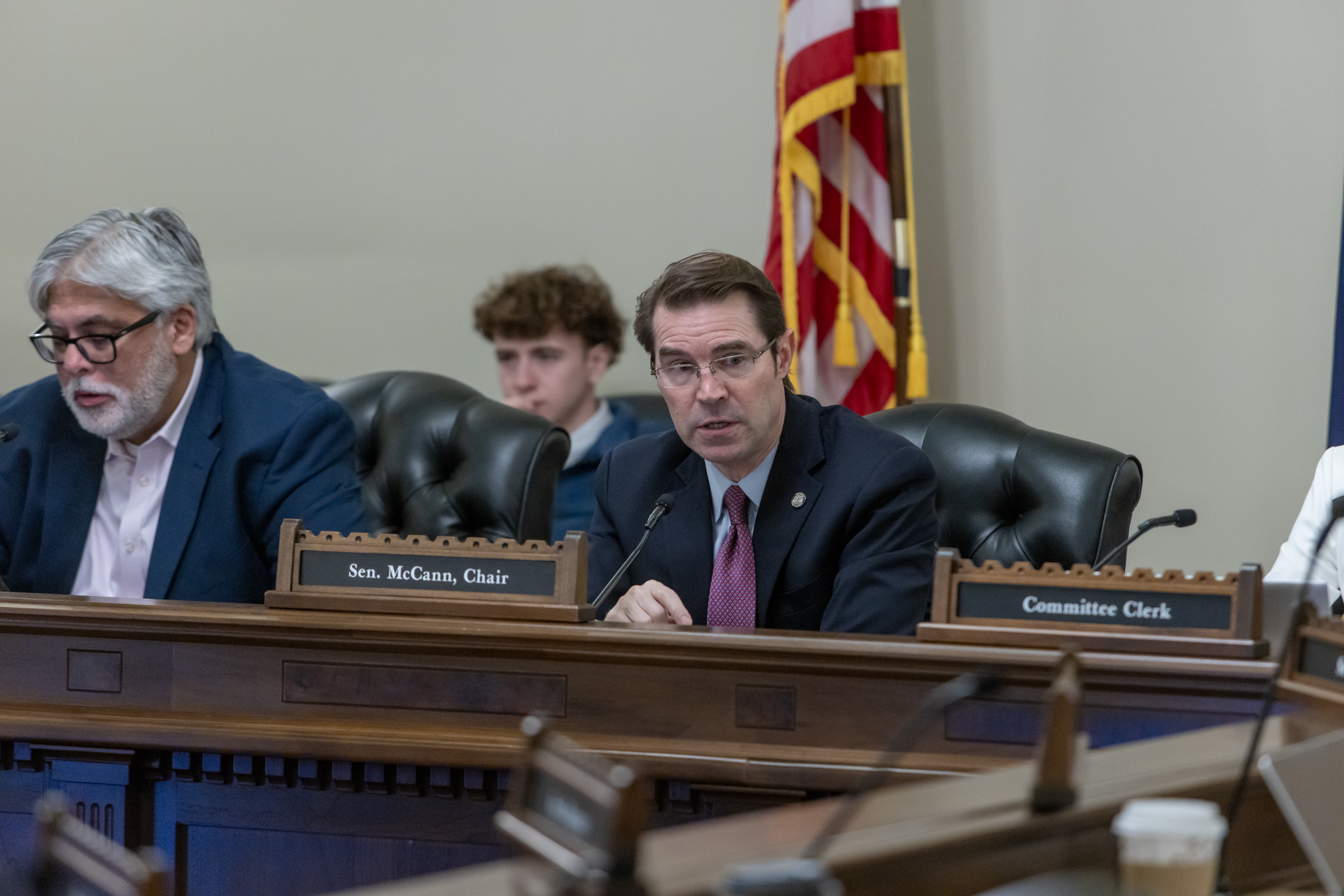 Senator McCann speaks during the Senate Energy and Environment Committee