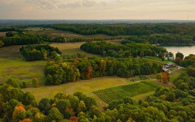 Senate Hearing Underscores How Federal Attack on Clean Energy is Costing Michigan Farmers