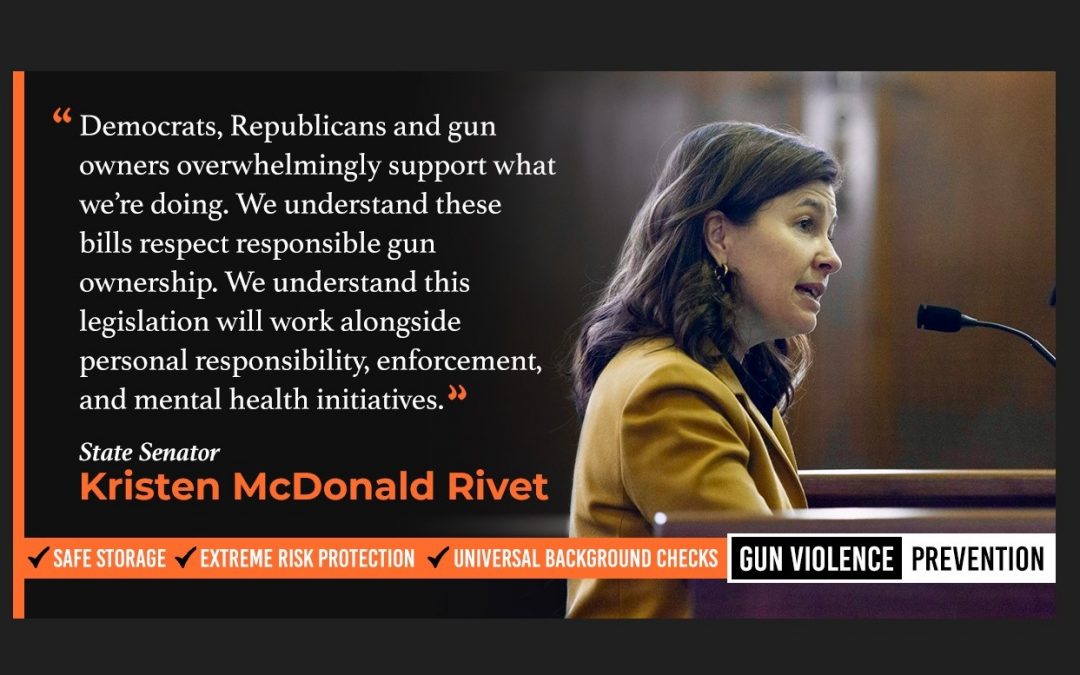 Senate Judiciary Committee Passes McDonald Rivet Legislation to Create Child Access Protection Law, 11-Bill Gun Violence Prevention Package