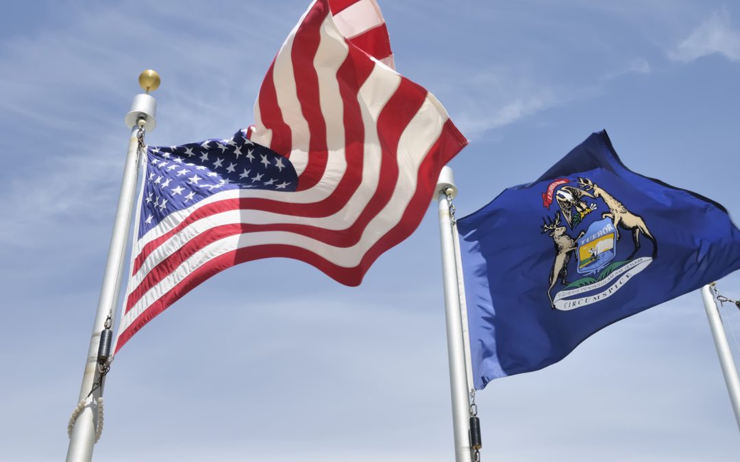 A Guide to Local Elections