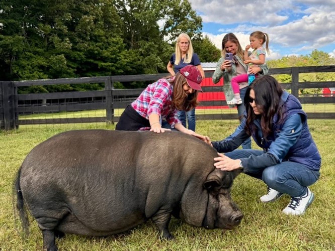 Meeting Rescue Animals at Abraham Ranch 