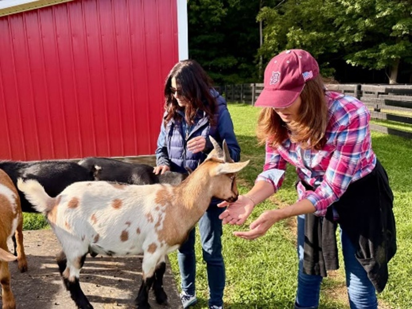 Meeting Rescue Animals at Abraham Ranch 