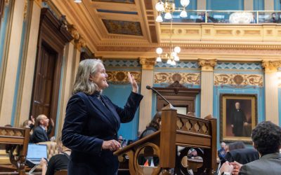 Sens. Shink, Irwin Promote Better Use of Energy Resources with Virtual Power Plants