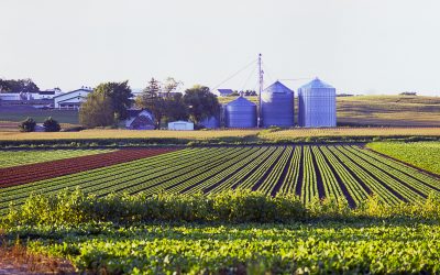 Senate Committee Explores How Trump Tariffs Decimate Michigan’s Agricultural Industry 