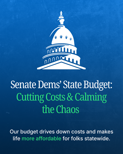 Senate Dems State Budget: Cutting Costs and Calming the Chaos