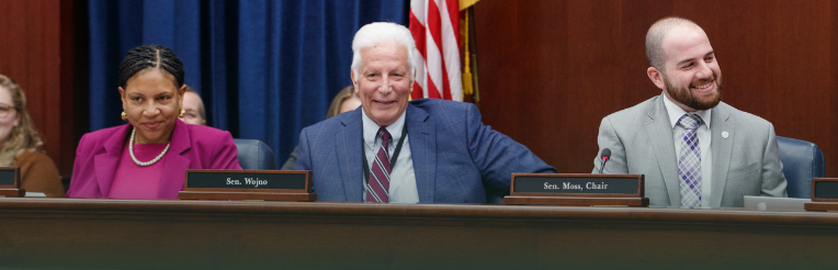 Senator Wojno smiling at the camera surrounded by Sens. Santana and Moss at a committee meeting